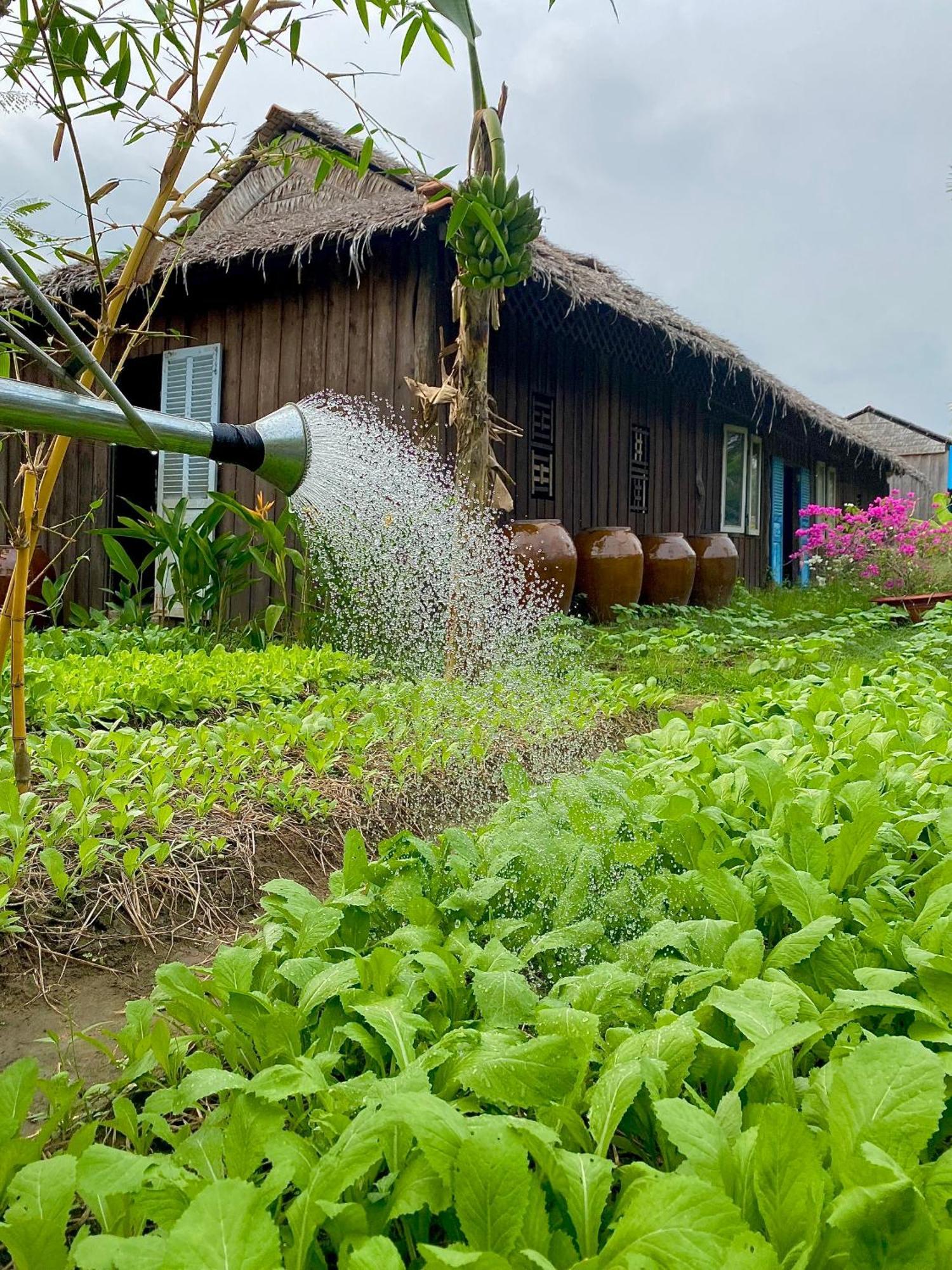 Mekong Silt Ecolodge Can Tho Eksteriør billede