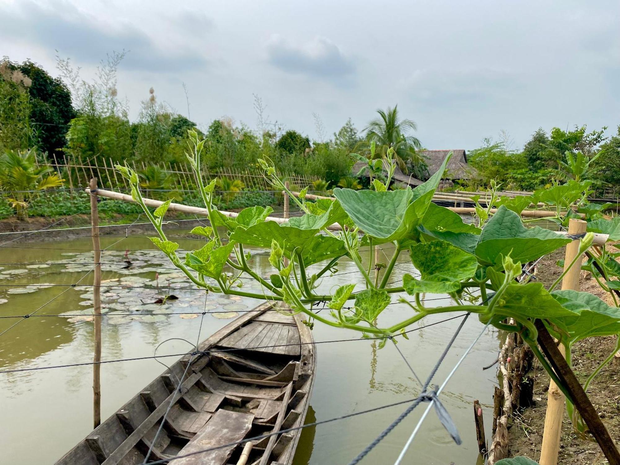 Mekong Silt Ecolodge Can Tho Eksteriør billede