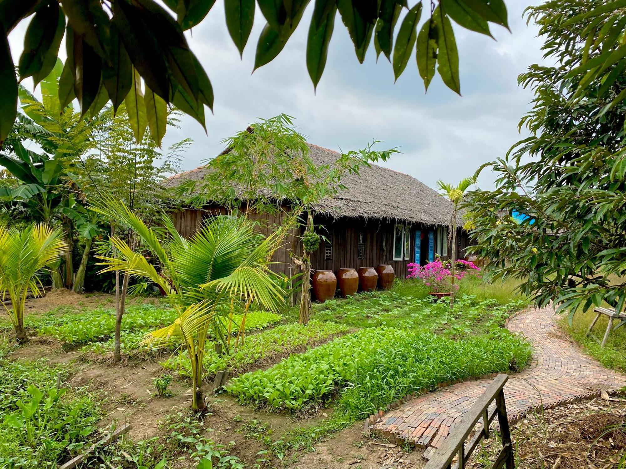 Mekong Silt Ecolodge Can Tho Eksteriør billede